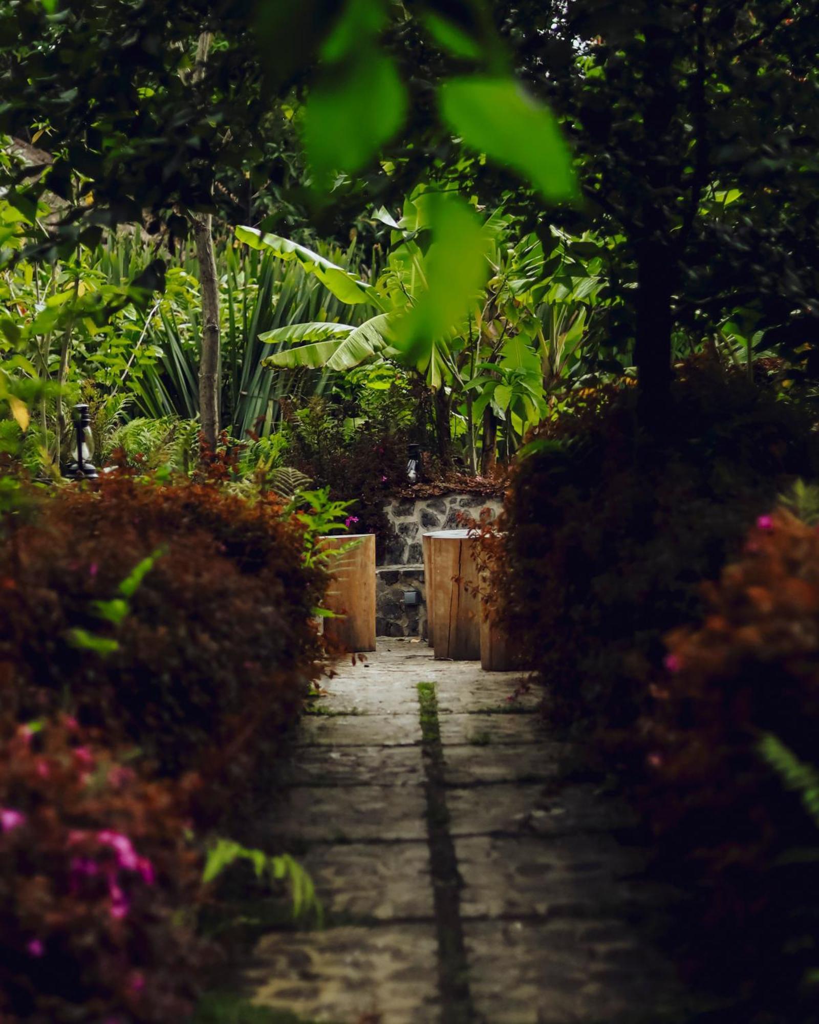 Villa Sambora Kinigi Exterior foto